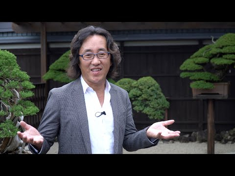 Shinji Suzuki Bonsai garden