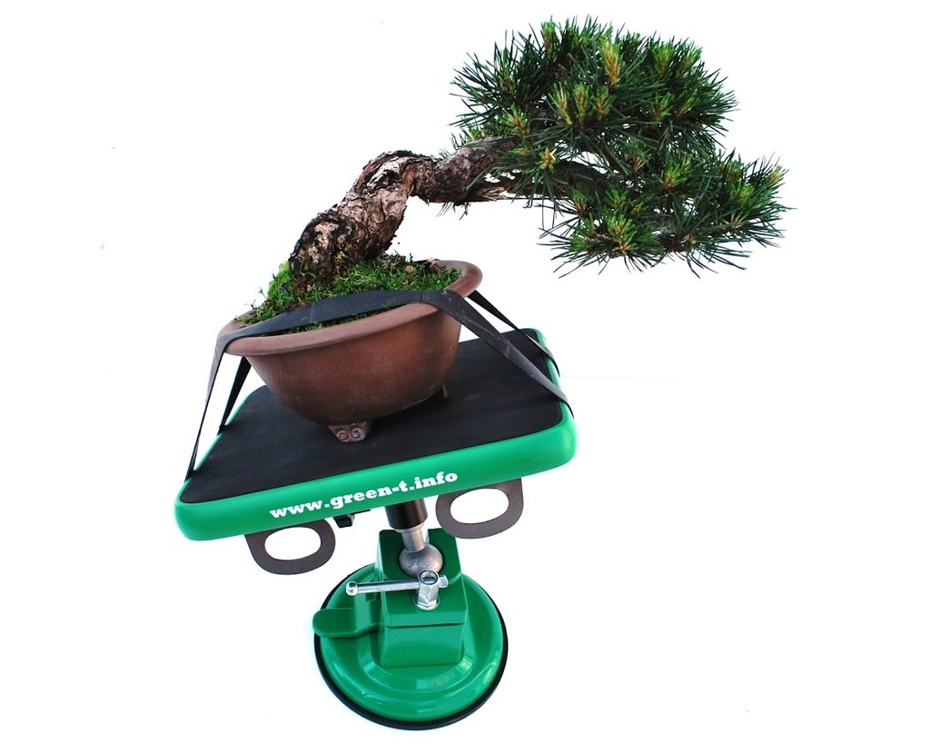 NEW Mini Bonsai Work Stands for Shohin Trees