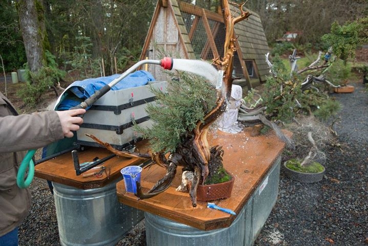 Today we caught up with Troy as he cleaned a tree