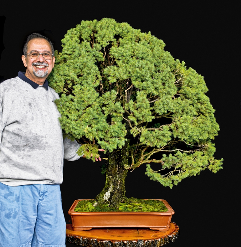 American Bonsai Hero & the 6th U.S. National | Bonsai Bark