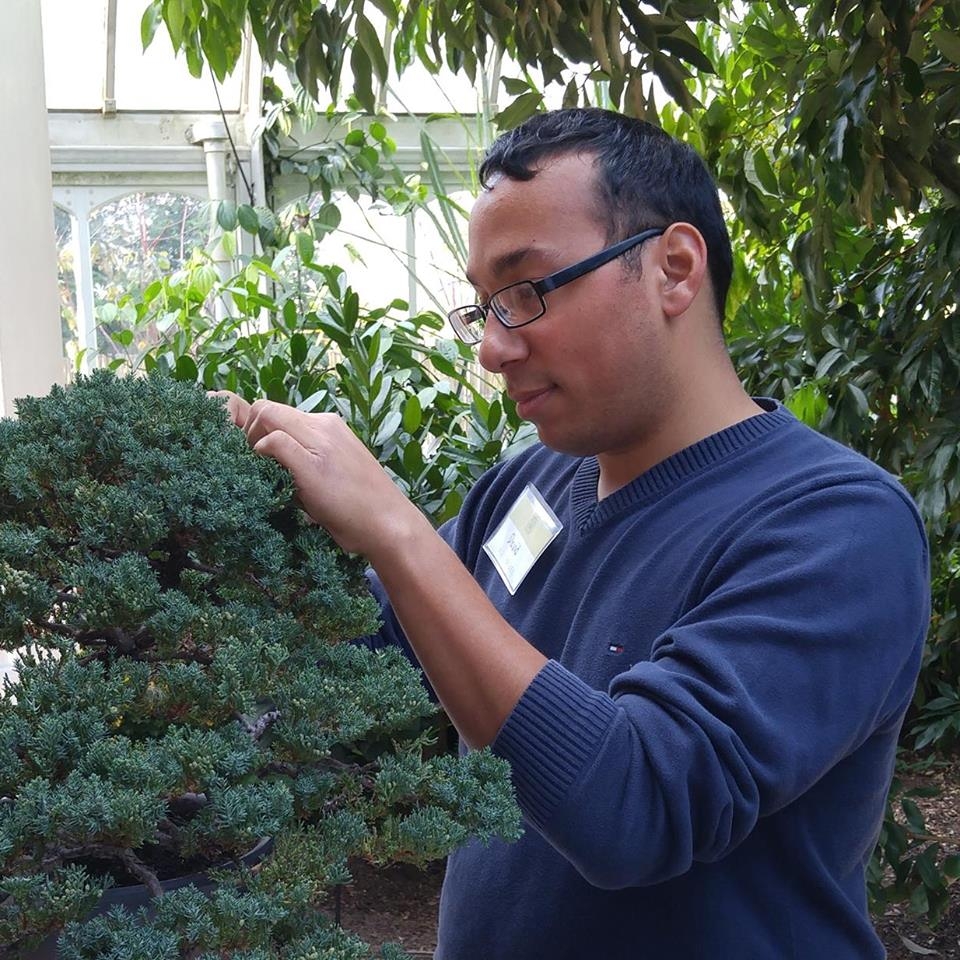Meet our new apprentice, David Rizwan. David is