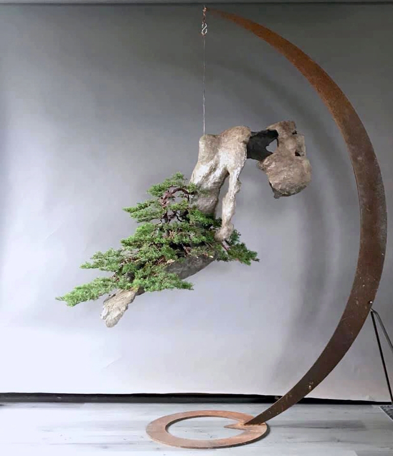 Time to Throw the Switch!? | Bonsai Bark