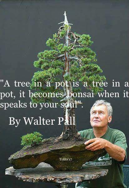2019 guest artists Walter Pall