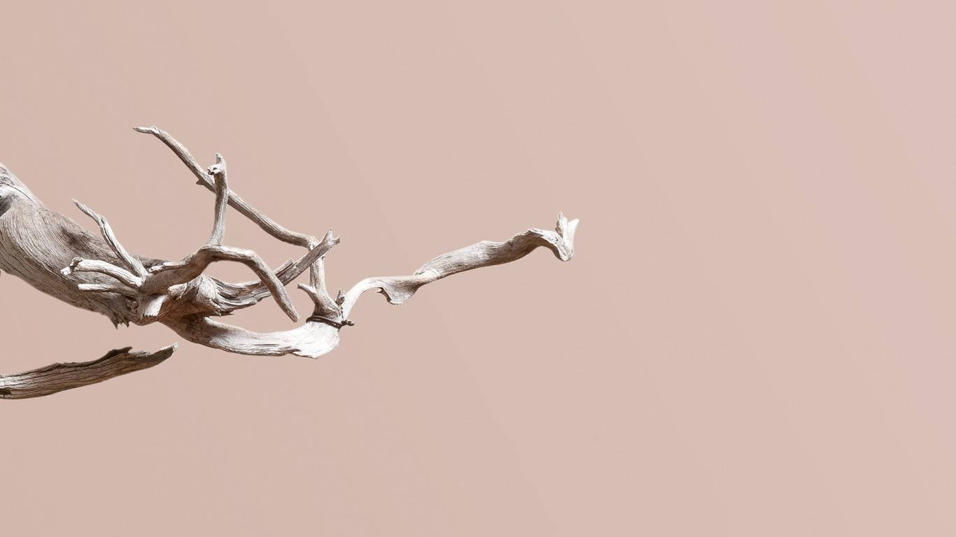 Asymmetry, Ep. 04 - Ron Lang