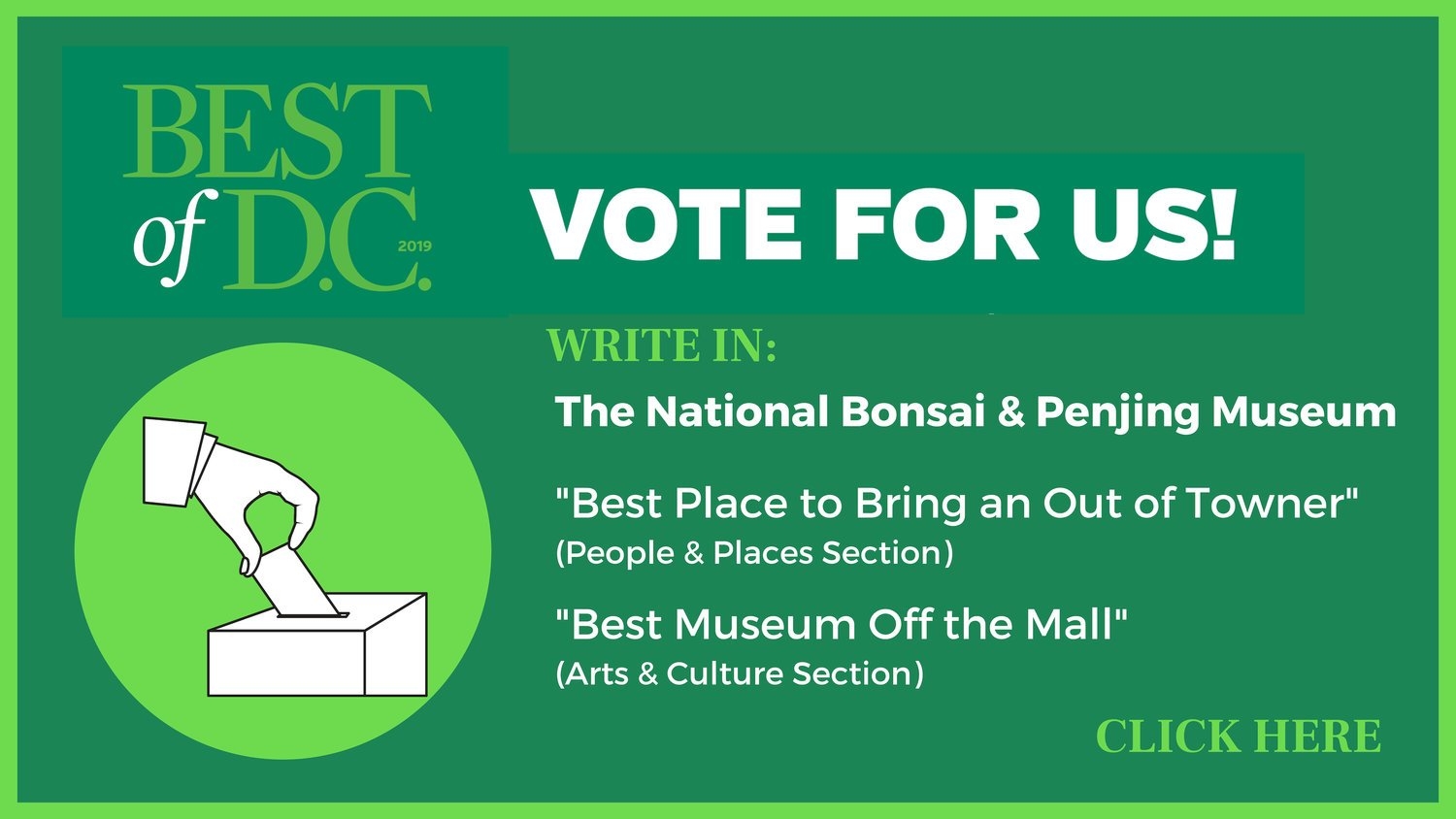 National Bonsai Foundation