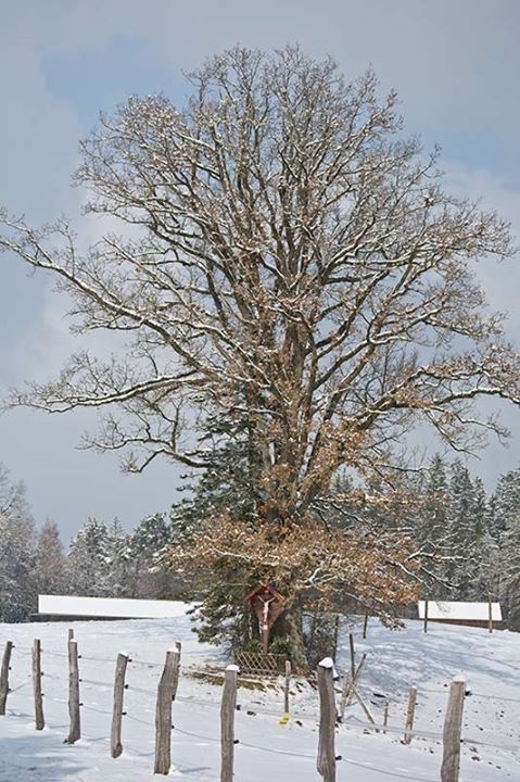 This is in Bavaria, Germany, next to my home