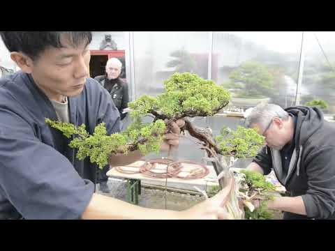 minoru akiyama wiring