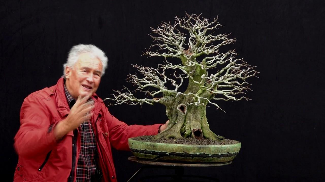 Tree talks with one and only Walter Pall. Part 2