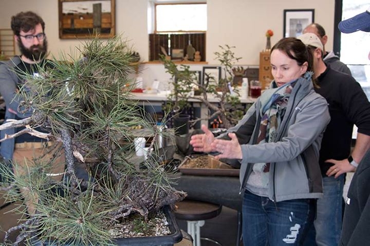 This was Woodstock XI at Nature's Way Nursery in