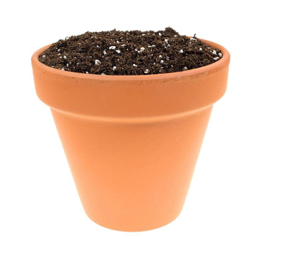 The Myth of Drainage Material in Container Plantings