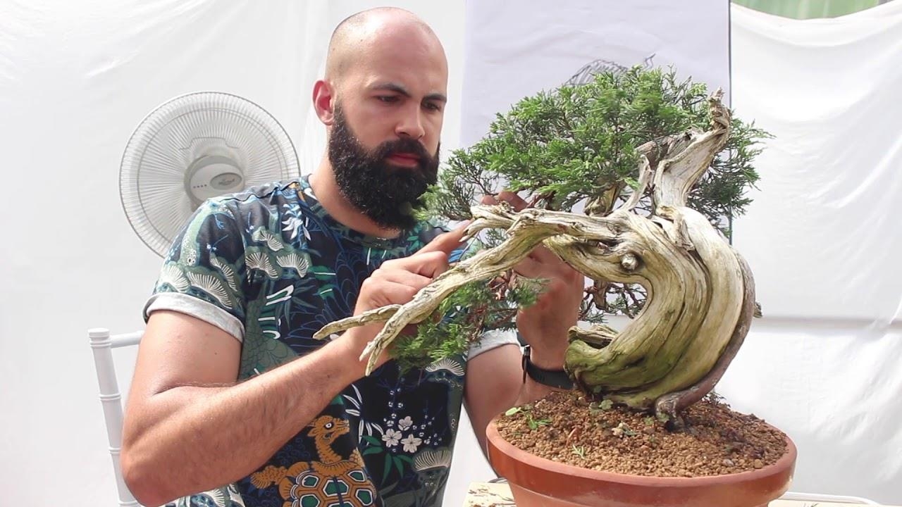 JP Hoareau styled this tree at the Generation