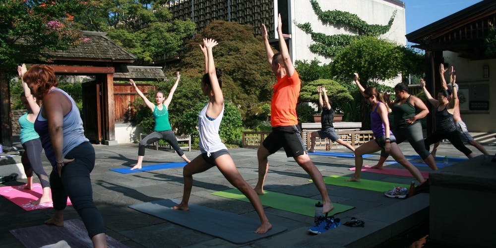 Summer Yoga Series at the National Bonsai & Penjing Museum