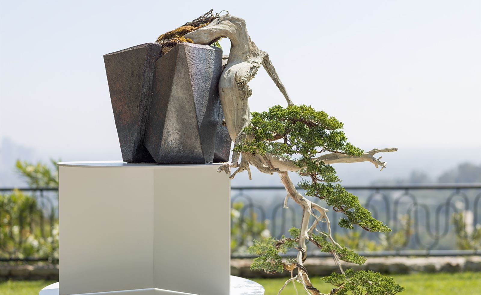 Discover the art and sculpture behind bonsai trees at Elvis Presley’s former home in LA