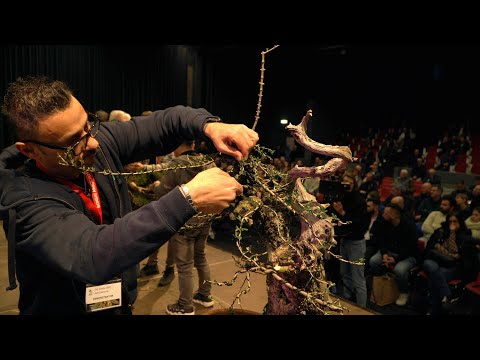 Pietro Sampirisi demo at Trophy 2023