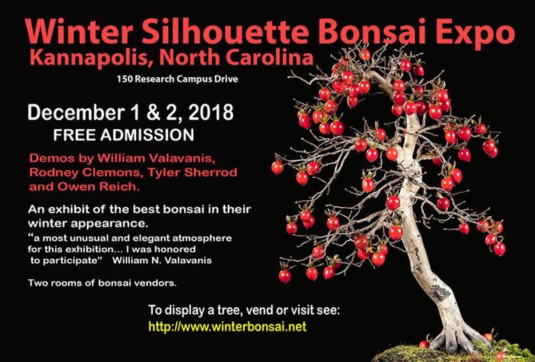 Coming Soon! Another Great Bonsai Expo | Bonsai Bark