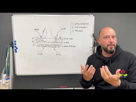 Bonsai techniques: Bonsai substrates (for specific tree species) by Mauro Stemberger