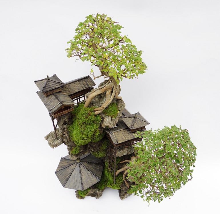 Magnificent Cliff Bonsai & Bjorn’s Advanced Bonsai Course | Bonsai Bark