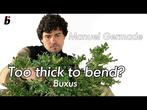 Too thick to bend? part 2